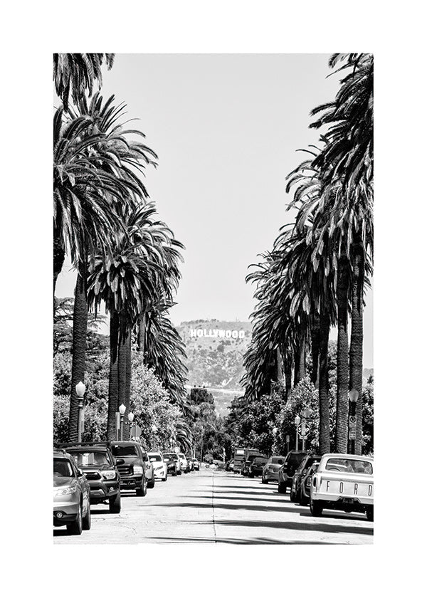 Poster de ville Hollywood, rue aux palmiers en noir et blanc