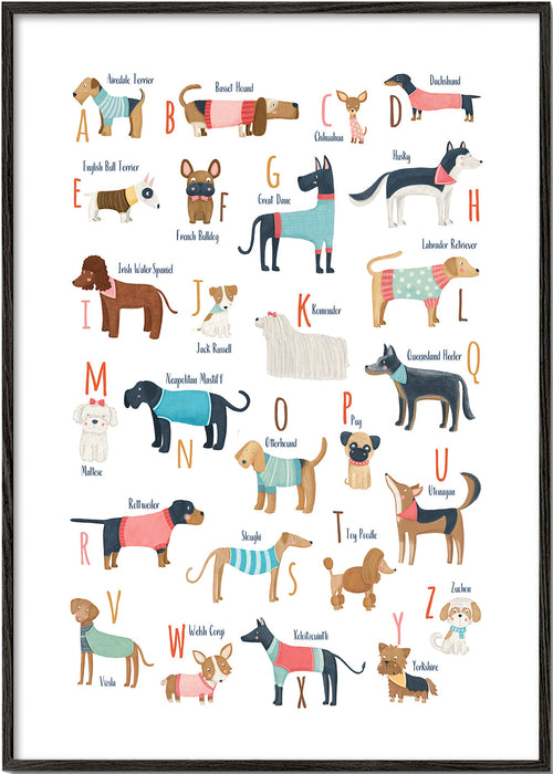 Illustratie alfabet met honden