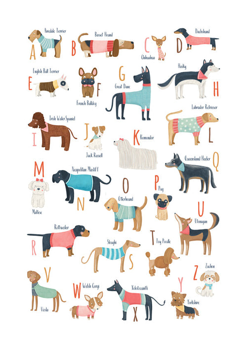 Illustratie alfabet met honden