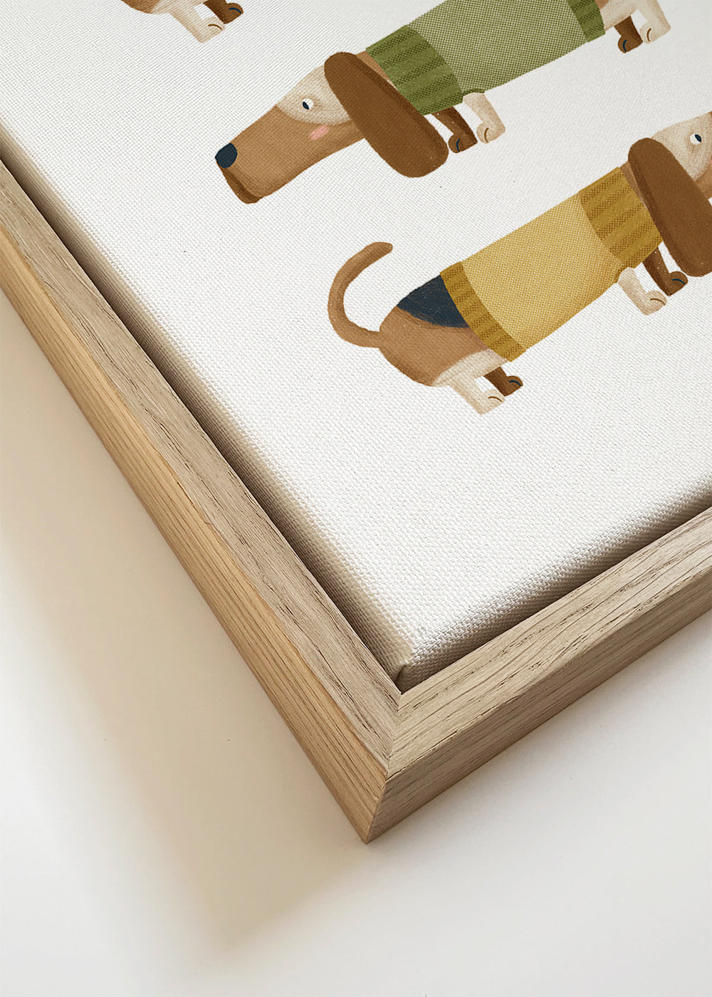 Illustratie trio teckels