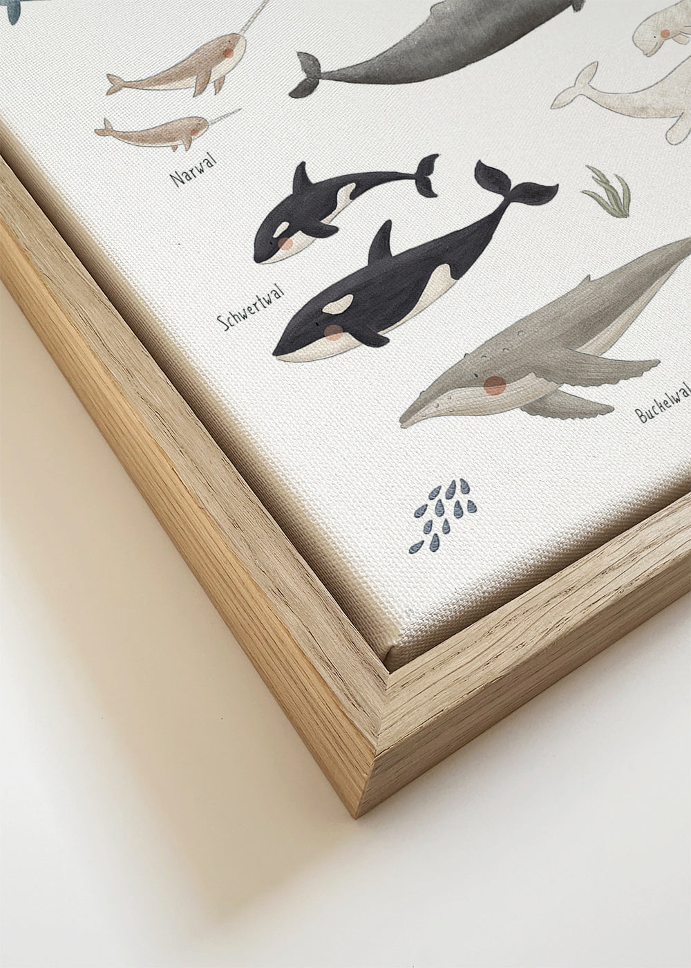 Kinderposter met walvissen in aquarel