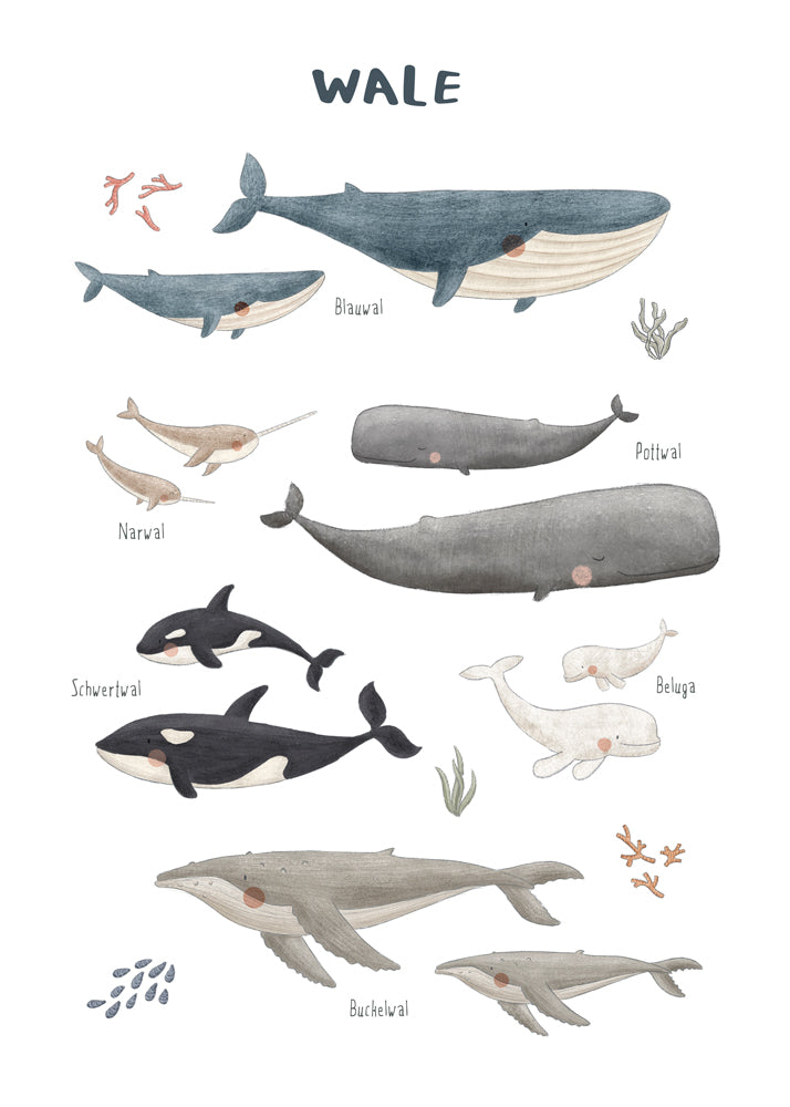 Kinderposter met walvissen in aquarel