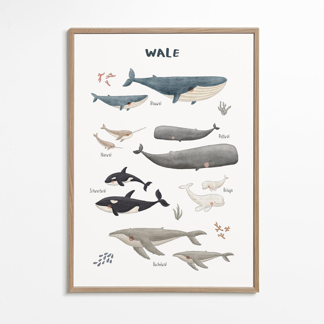 Kinderposter met walvissen in aquarel