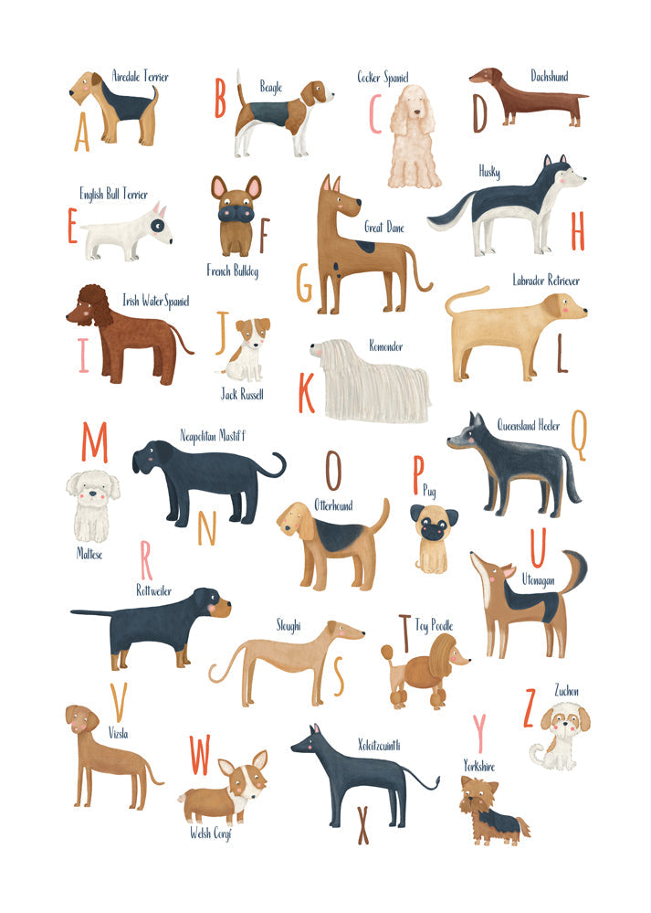 Kinderposter Hondenalfabet illustraties