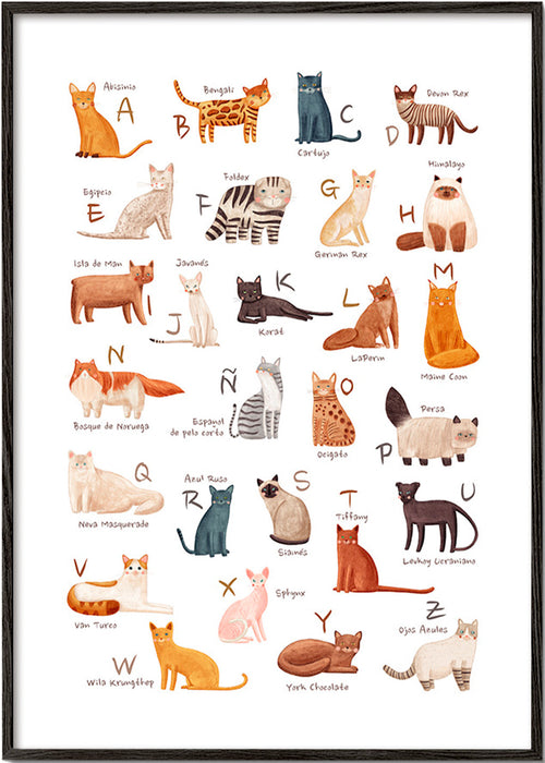 Illustration enfant Abécédaire de chats illustré