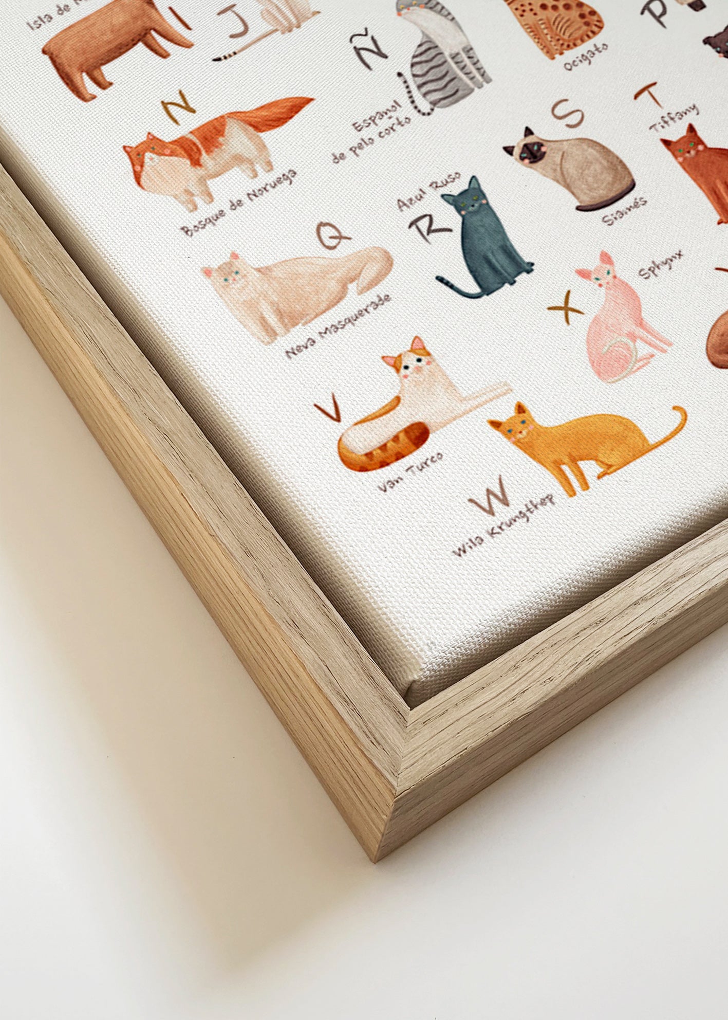 Kinderbild: Illustriertes Katzenalphabet