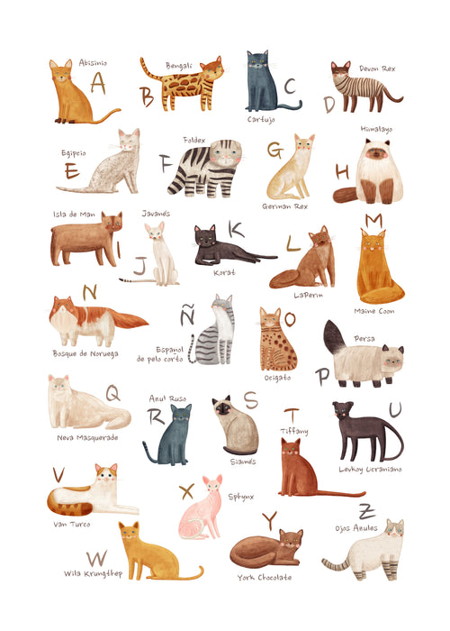 Abecedario gatos (español) - Unframed art print