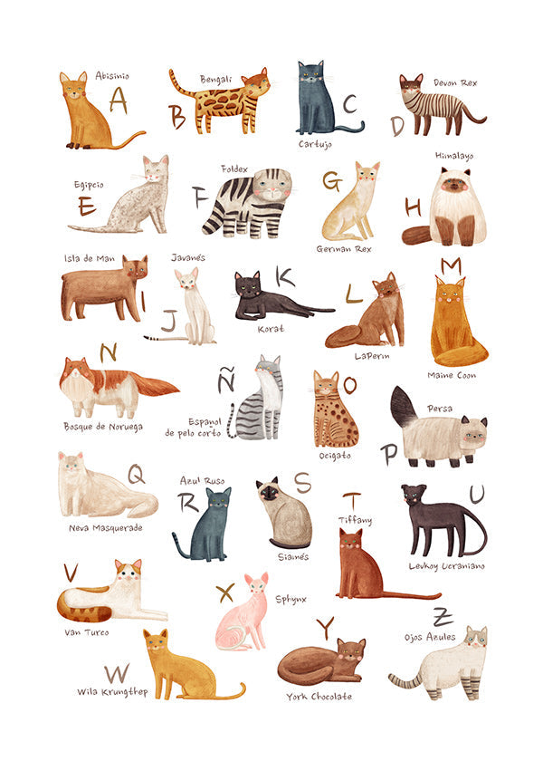 Kinderbild: Illustriertes Katzenalphabet
