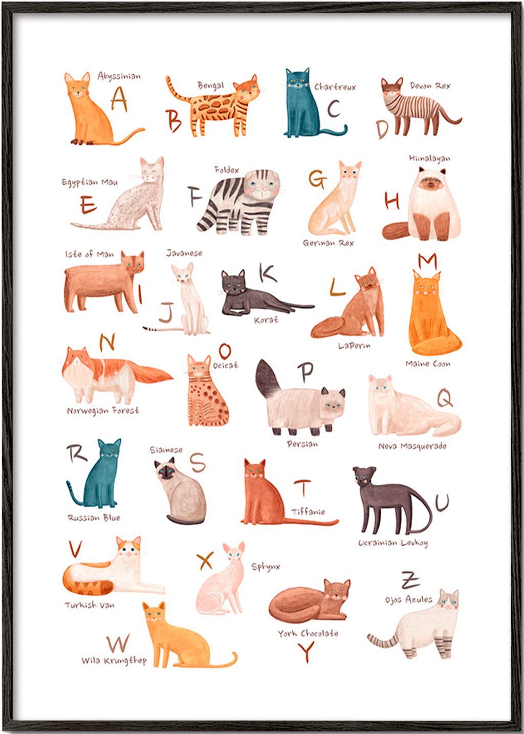 Kinderbild: Katzen-Alphabet Illustration