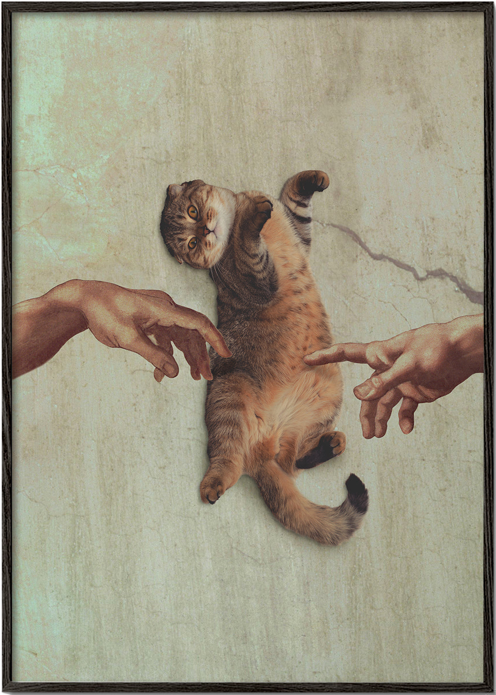 Touch of a Kityy