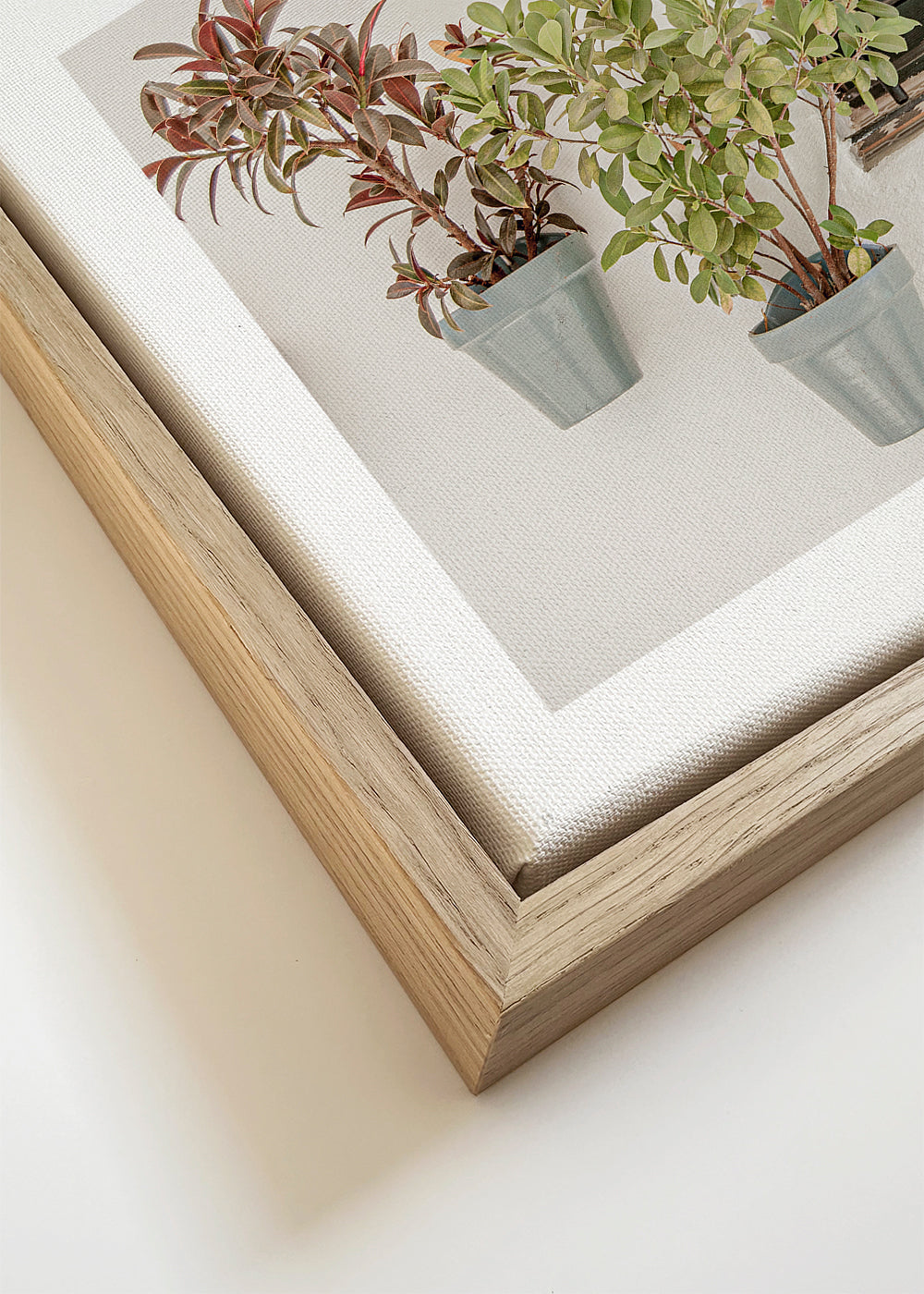 Botanische print met potplanten bij het raam