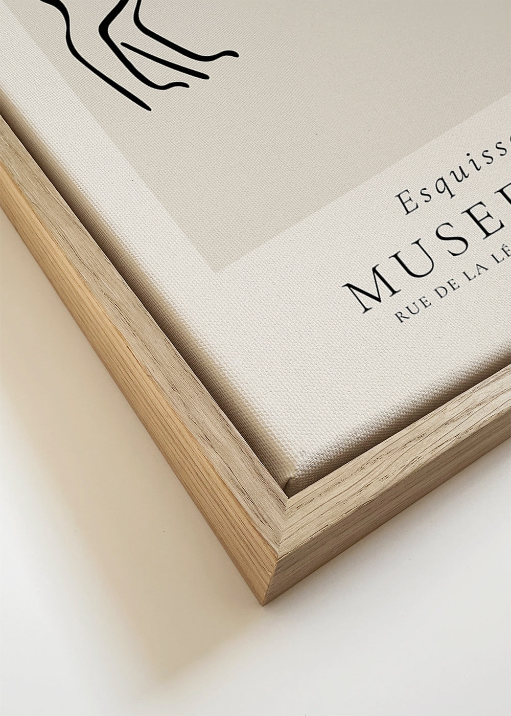 Minimalistische kattenlijn illustratie