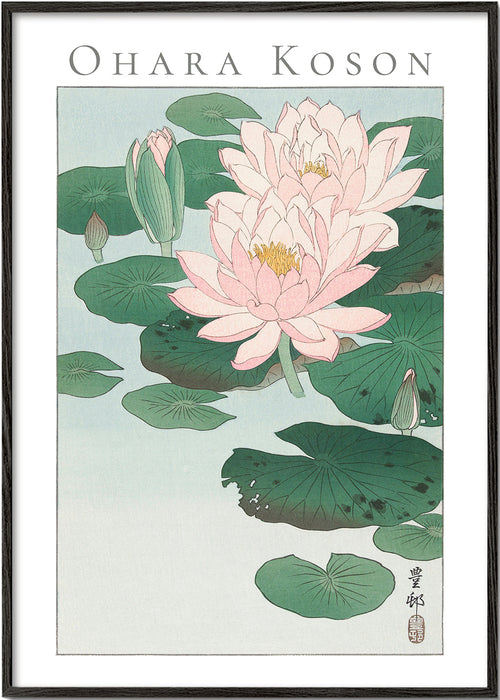Botanische print met Japanse waterlelie
