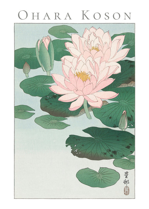 Botanische print met Japanse waterlelie