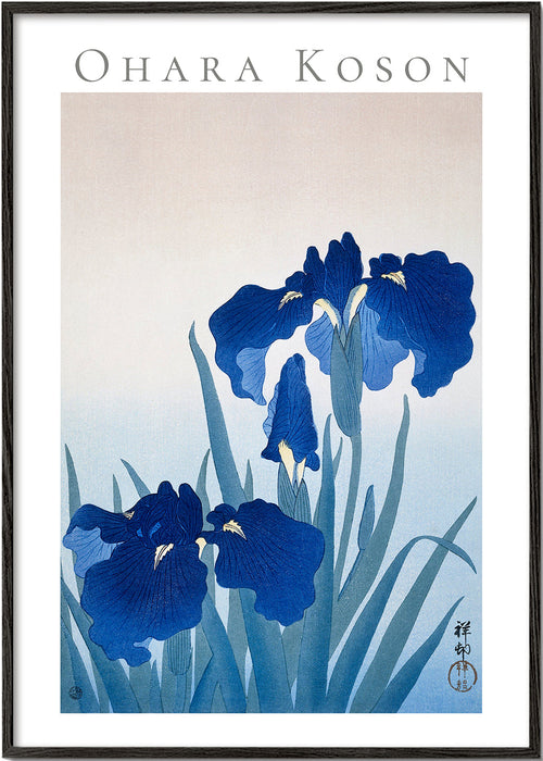 Botanische poster blauwe iris