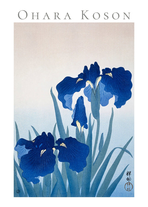 Botanische poster blauwe iris