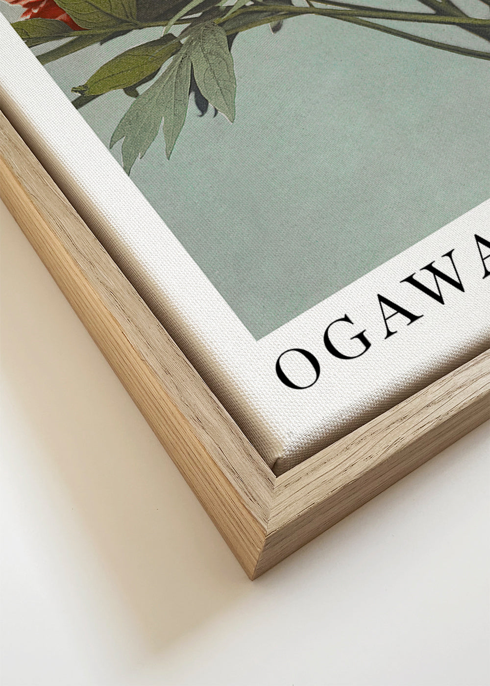 Botanische poster Rode pioen op aquamarijn