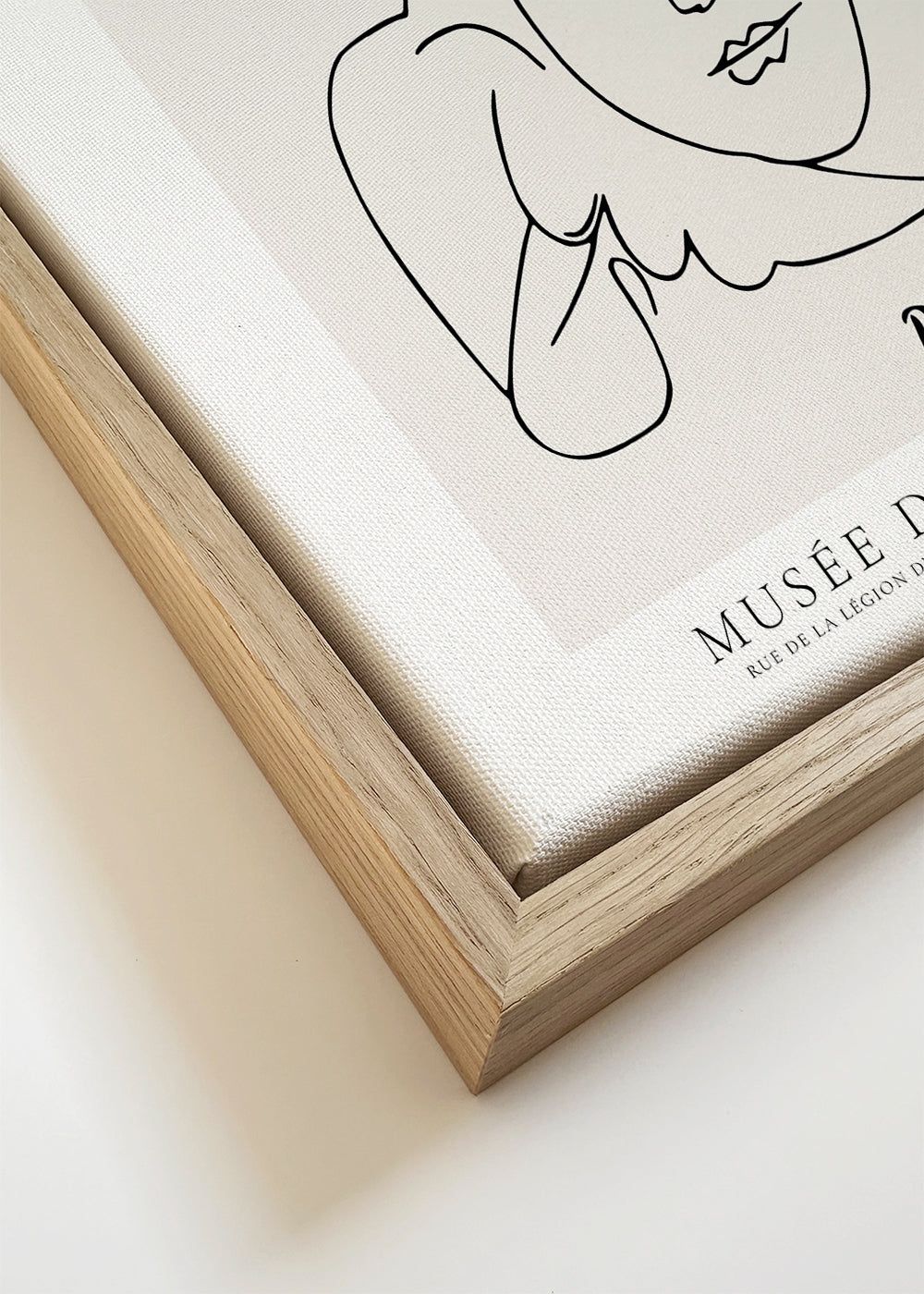 Minimalistische illustratie duif en gezicht