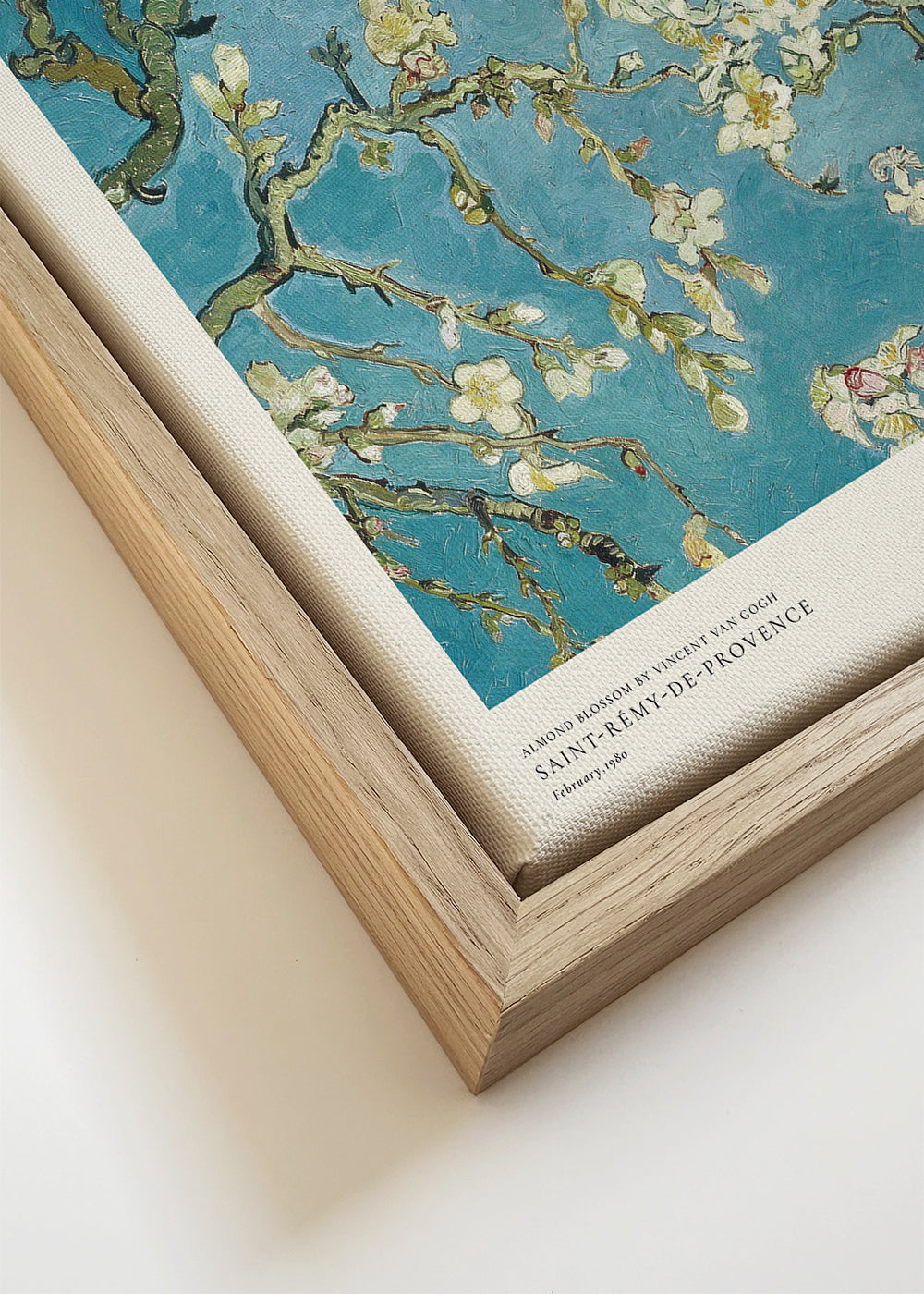 Botanische poster: amandelbloesem op blauw
