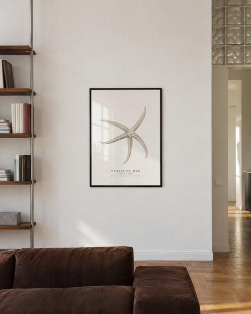 Starfish (Étoile de mer) II - Sealife Collection - Framed poster in an interior