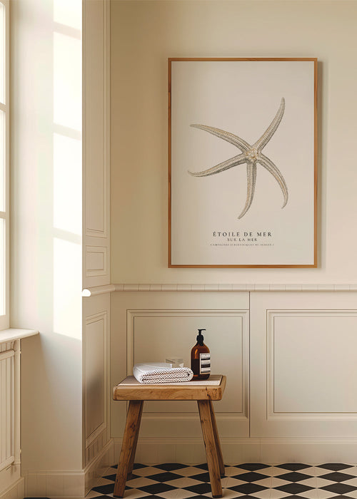 Zeester specimen kunstwerk op witte achtergrond