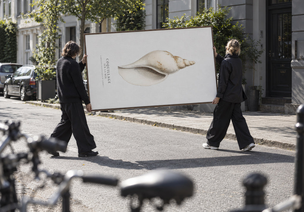 The gastropod shell (Coquillage) - Sealife Collection - Framed canvas in an interior