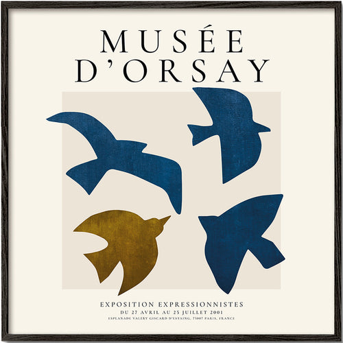 Vintage poster Musée d'Orsay met gestileerde vogels