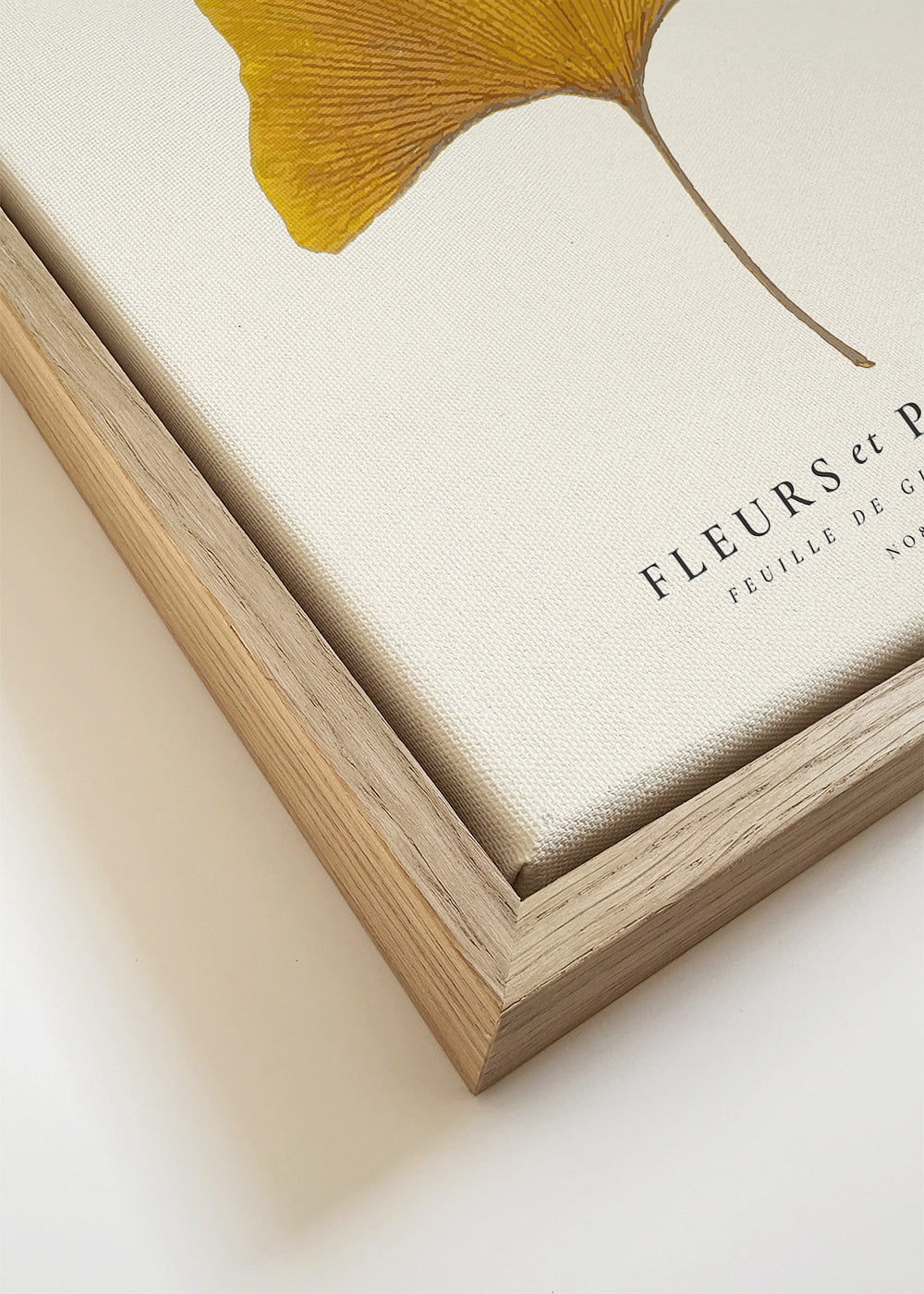 Botanische print ginkgo blad studie