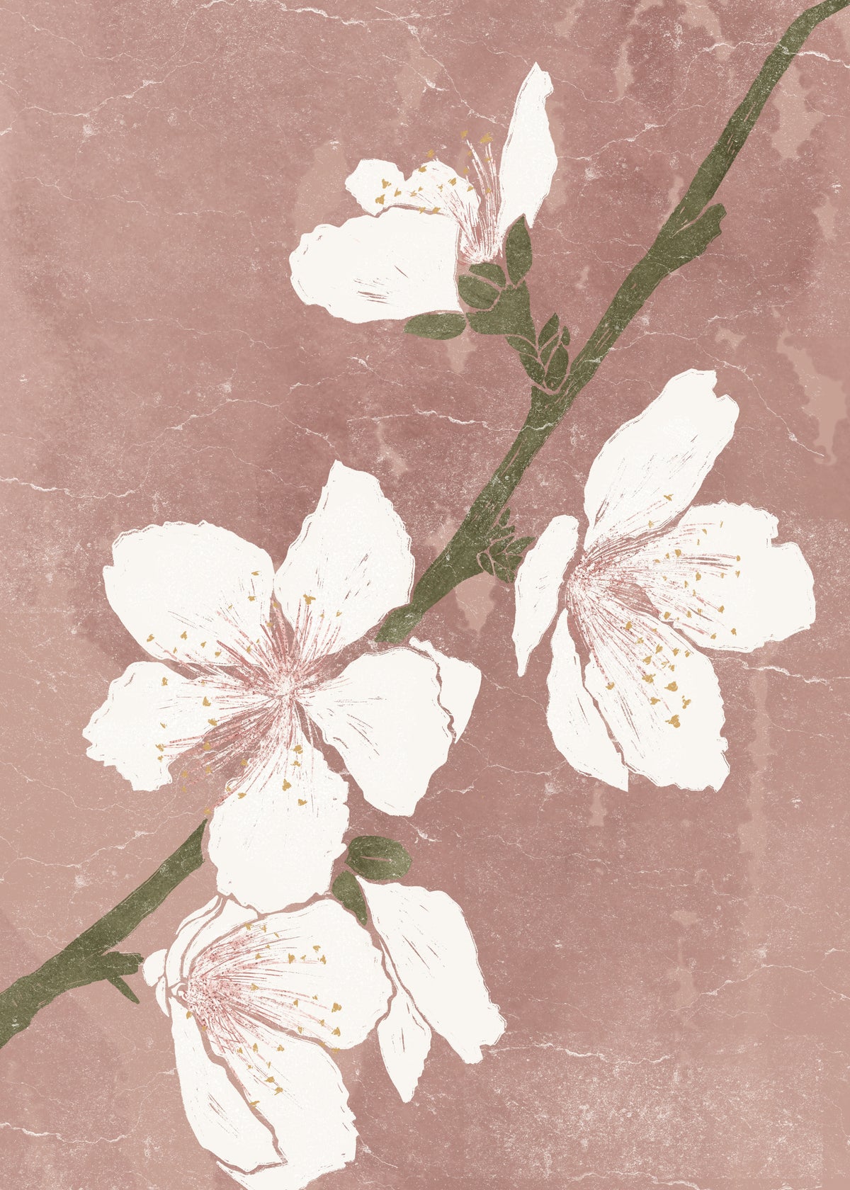 Pink Blossom I - Unframed art print