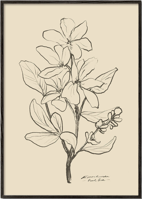 Botanische print — lijntekening bloem
