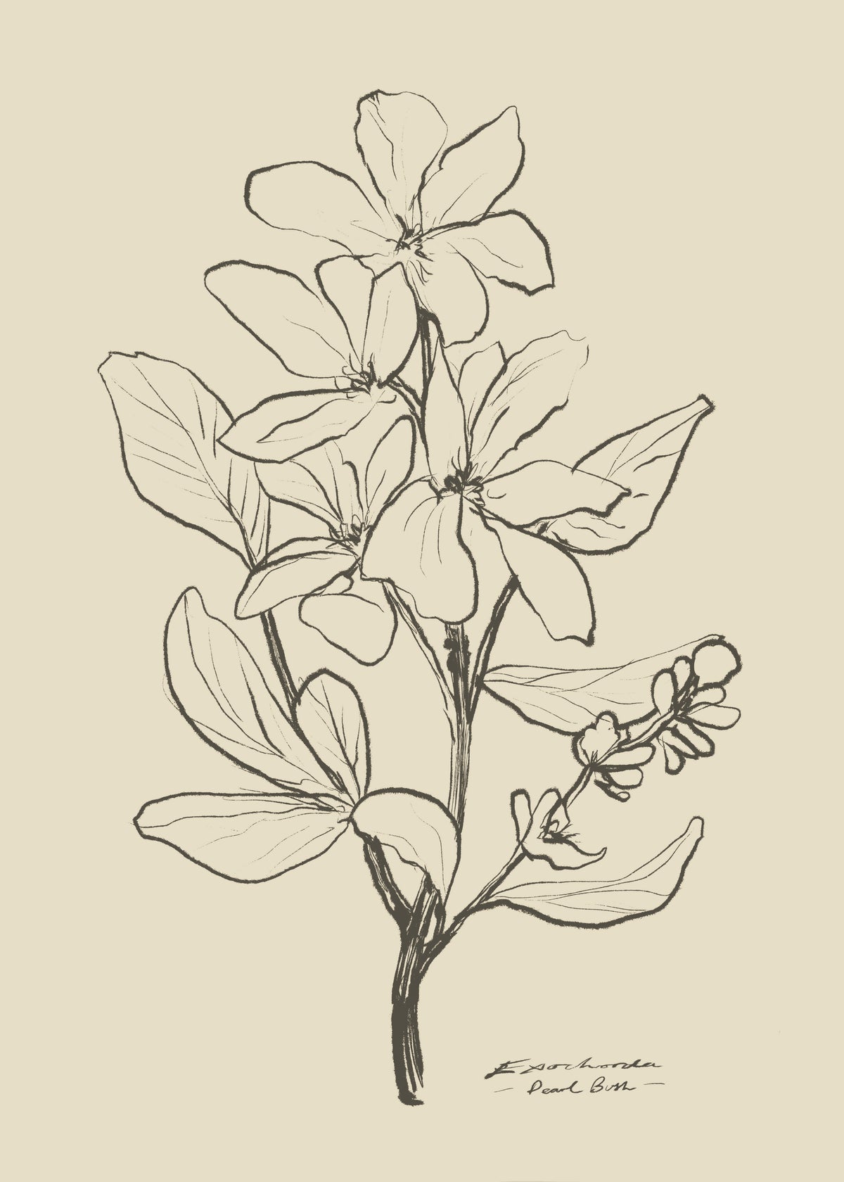 Floral 1 - Unframed art print