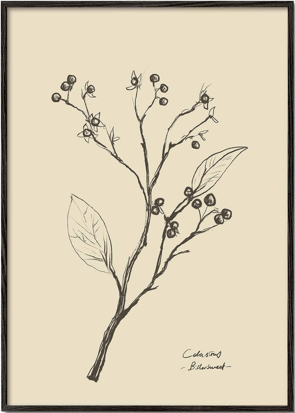 Floral 2