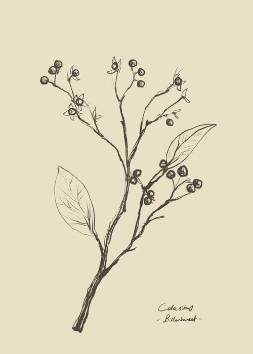 Botanische print: tak met bessen op beige