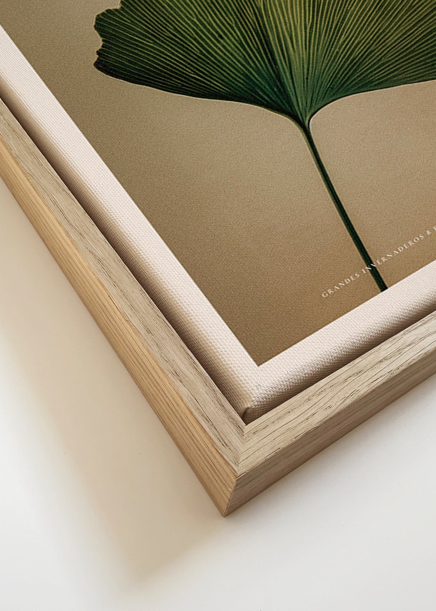 Impression botanique avec feuille de ginkgo et typographie classique