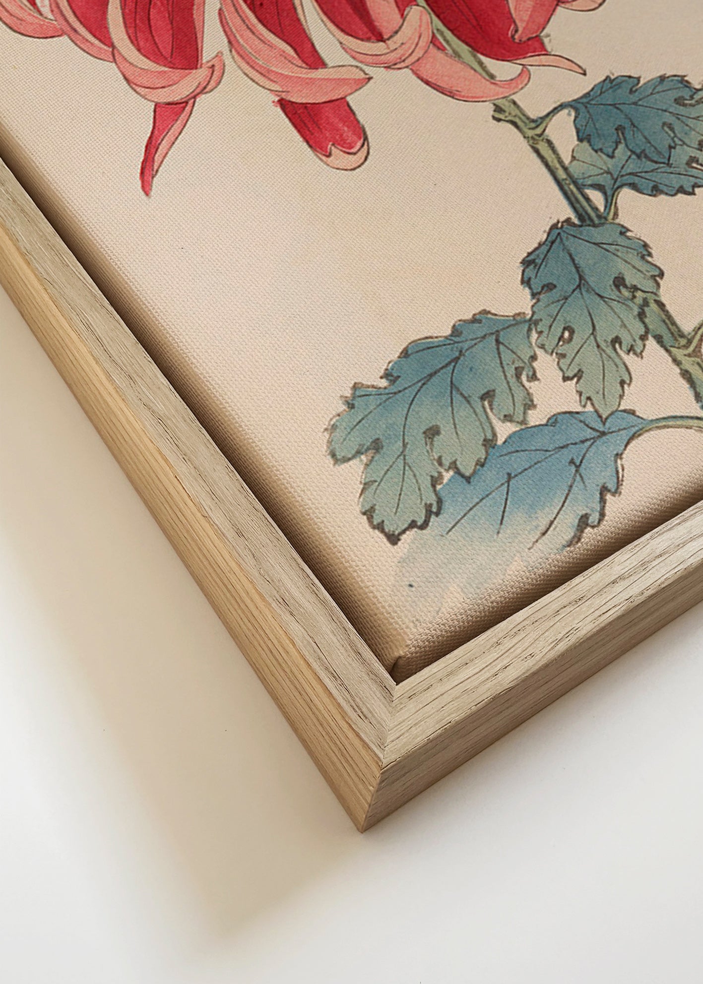 Botanische print Japanse chrysant rood