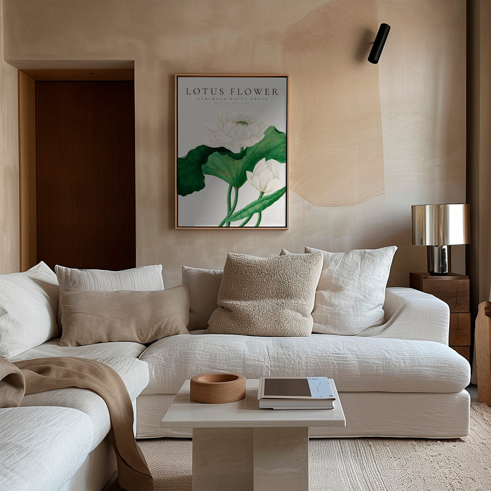 Botanische print Witte lotus studie