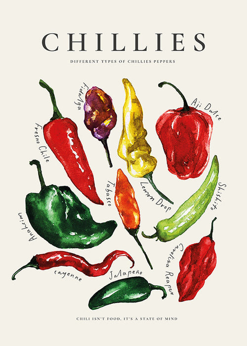Küchenkunst Chillies Aquarell