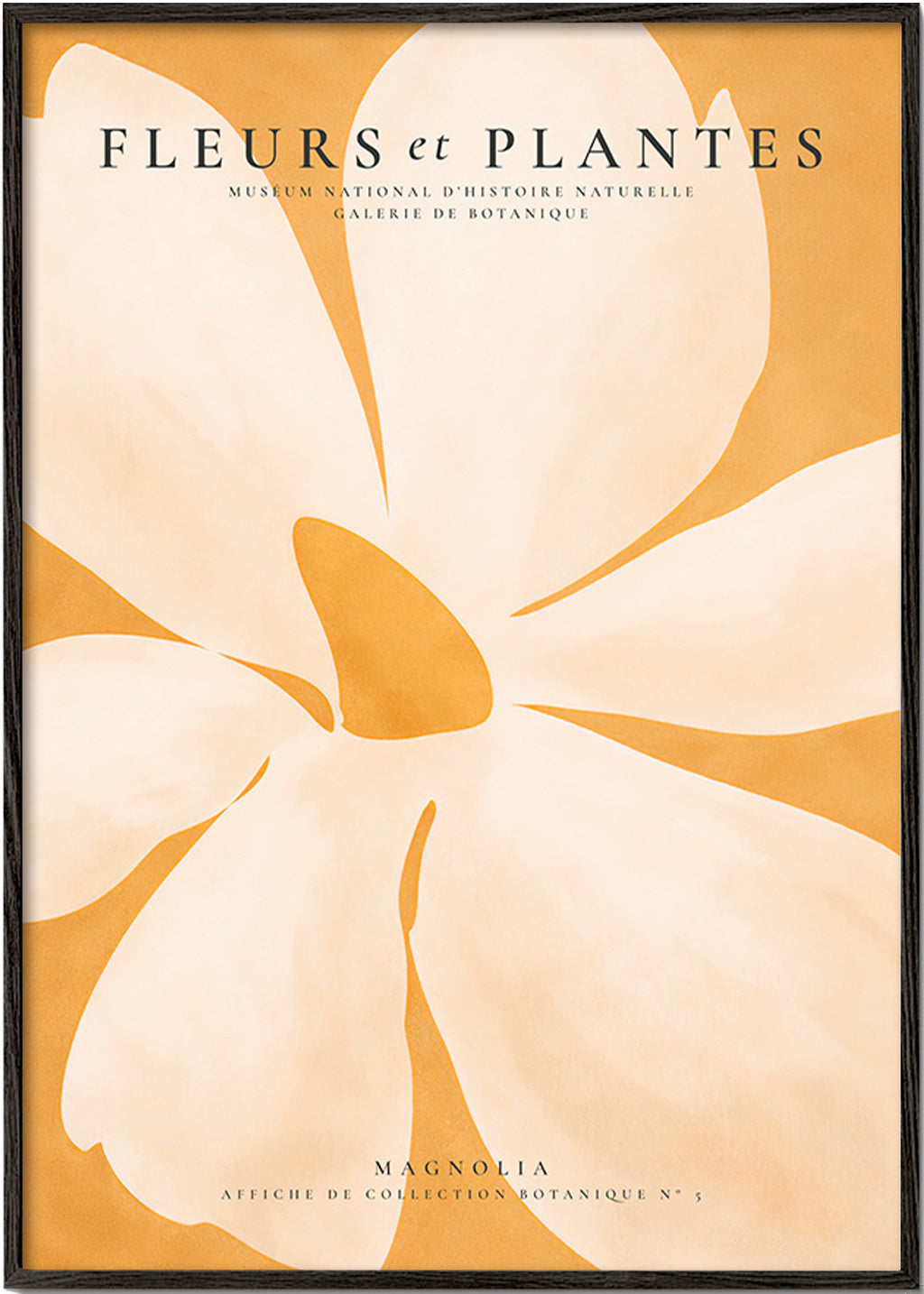 Botanische poster Magnolia groot formaat