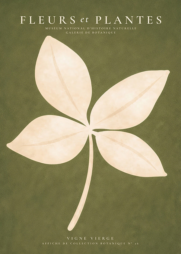 Impression botanique: feuille crème sur fond vert