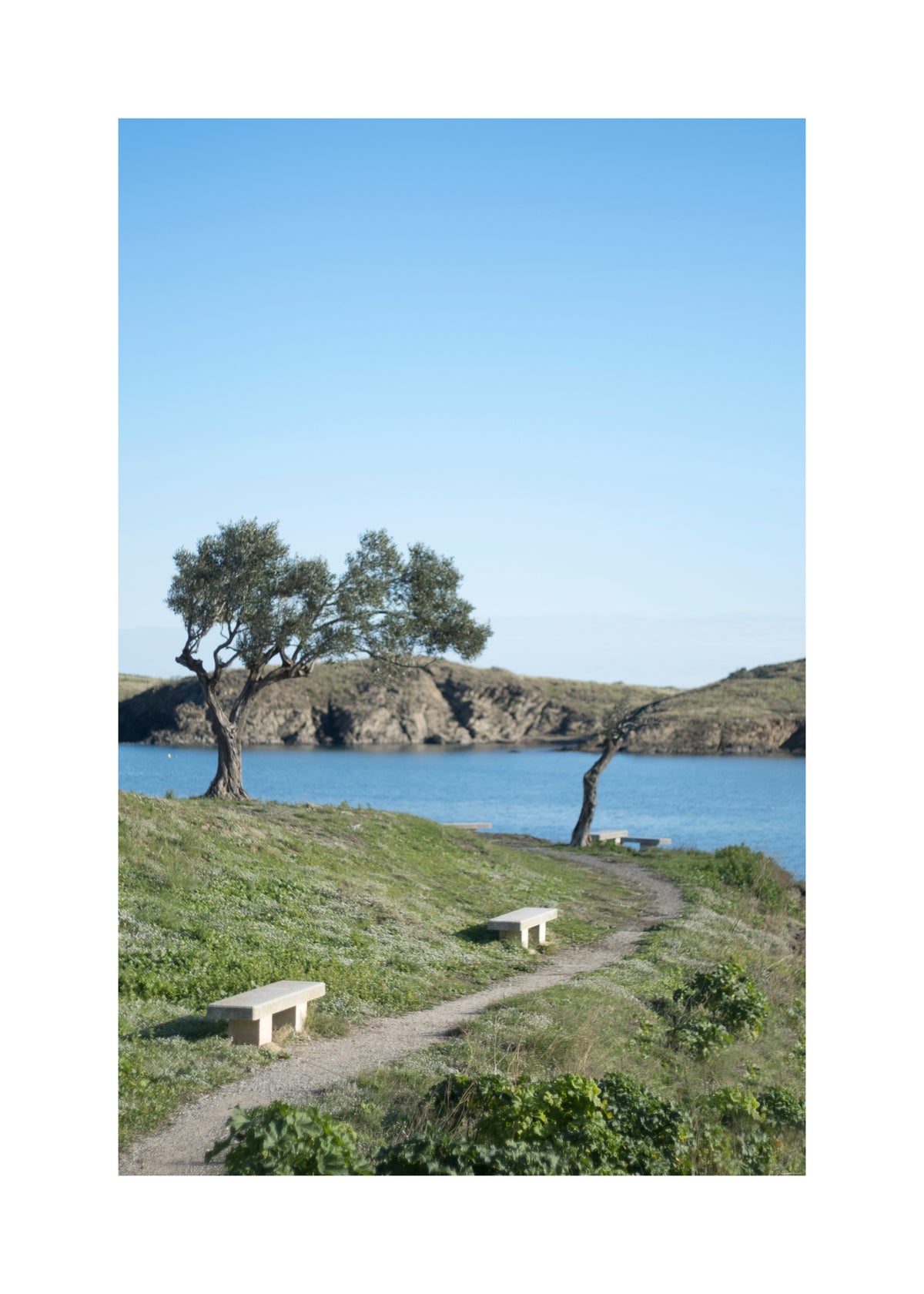 Coastal Path - Unframed art print