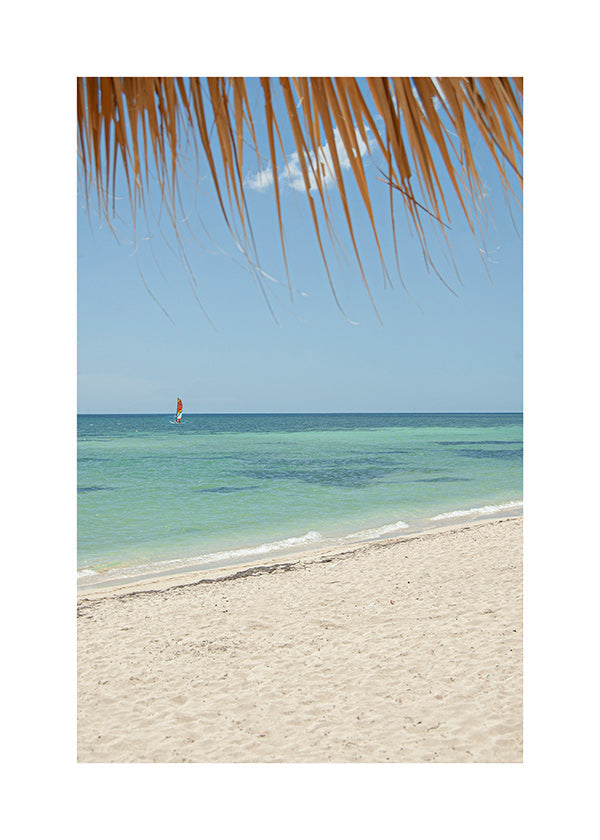 Landschaftsbild: karibischer Strand mit Palme