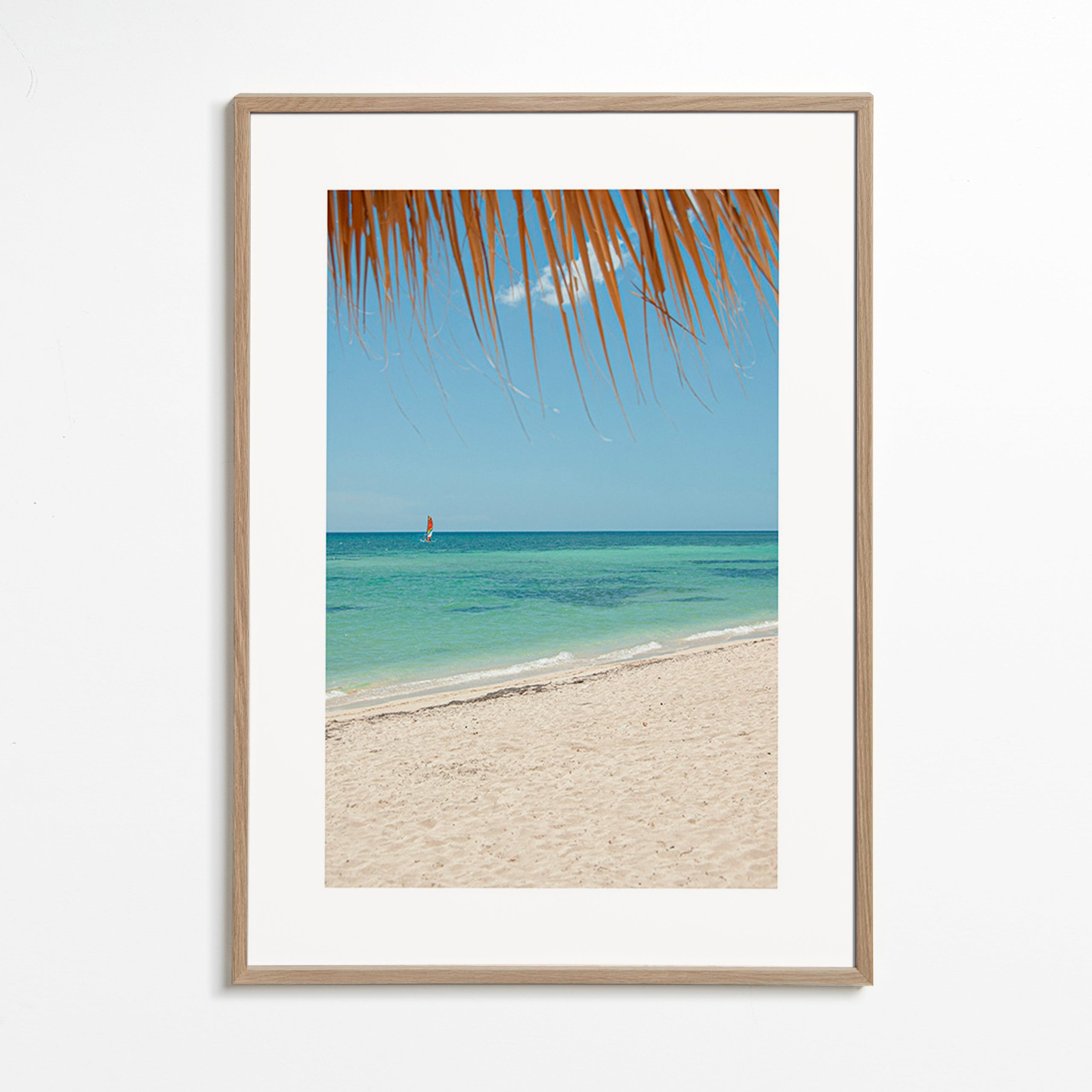 Landschaftsbild: karibischer Strand mit Palme