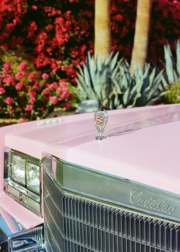Vintage print Roze Cadillac