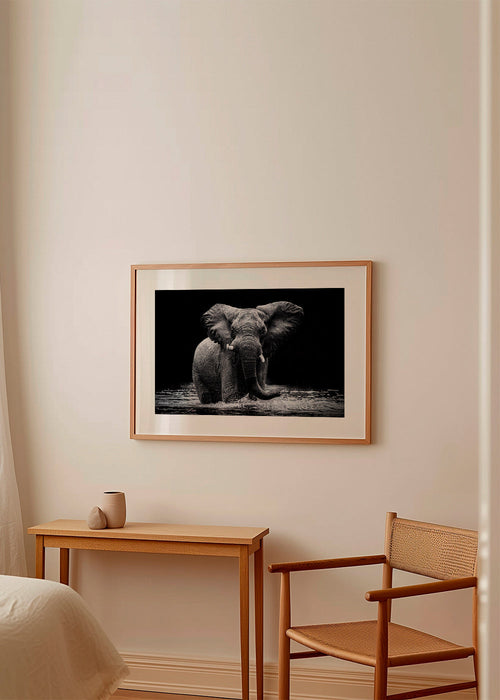 Werk: olifantenportret wadend in water in zwart-wit – Product1