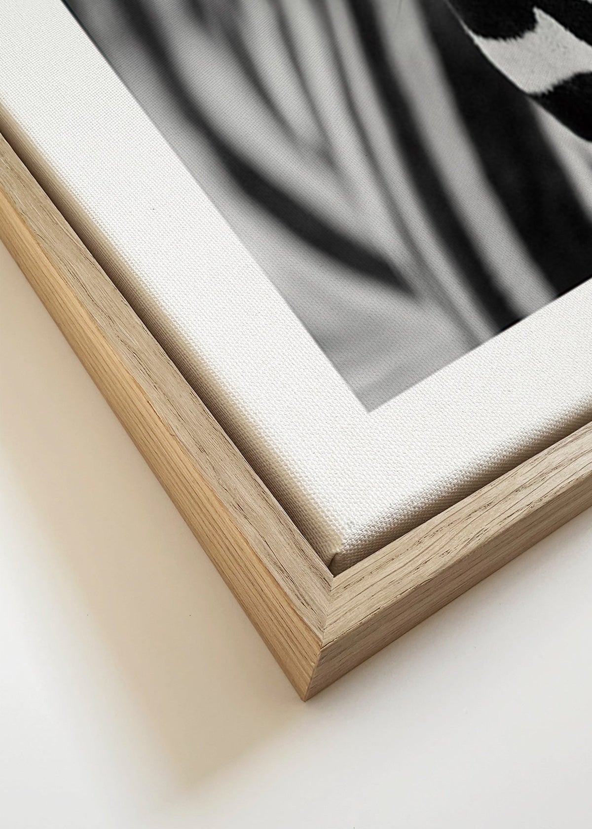 Zebra close-up foto – Canvas detail