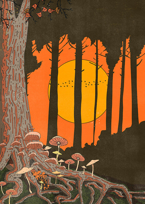 Illustratie bos zonsondergang met paddenstoelen
