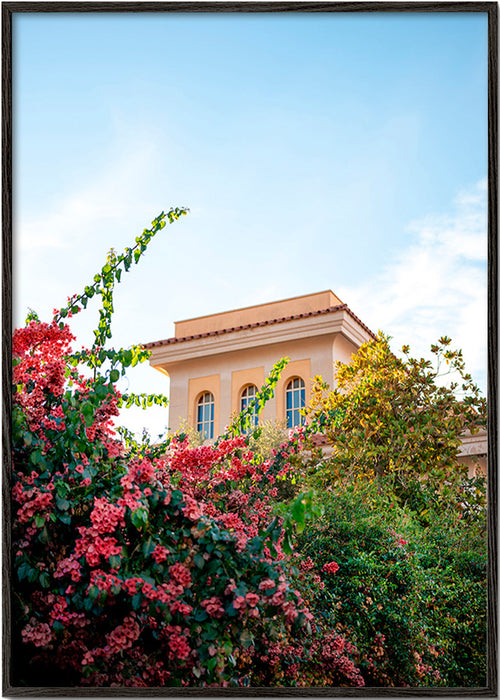 Botanische print met Amalfi-gevel en bougainvillea – Black Frame