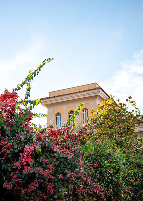 Botanische print met Amalfi-gevel en bougainvillea