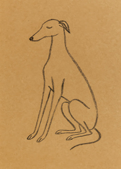 Galgo silhouet lijnkunst