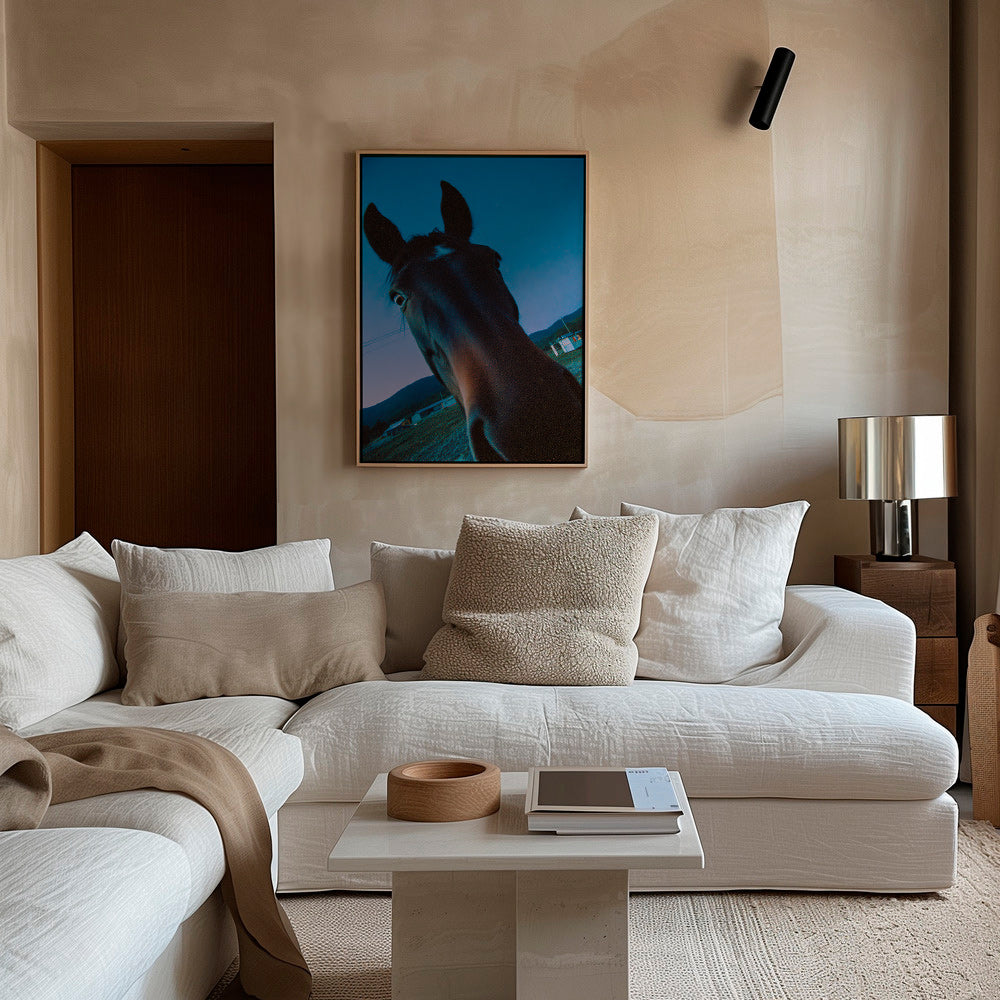 Œuvre cheval gros plan nocturne